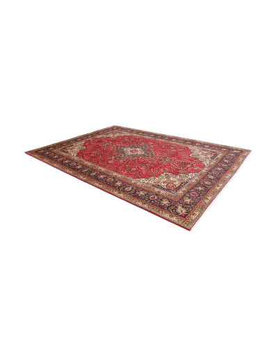 Tabriz 245x343 Cm Tabriz, Persia, Lana Cardata A Mano,