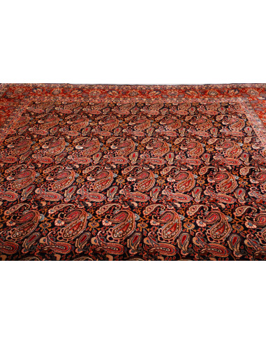 Tappeto Kashamr Zirkhaki Persia marrone arancione 295x380
