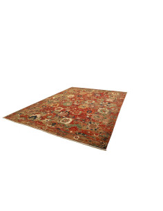 Tappeto Zigler Fine Pakistan 274x355 Rosso Rugg 2