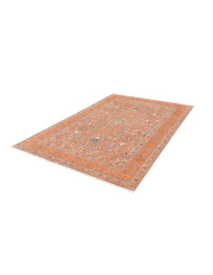 Rug Ziegler Fine Pakistan 166x238 Terracotta Blu 2