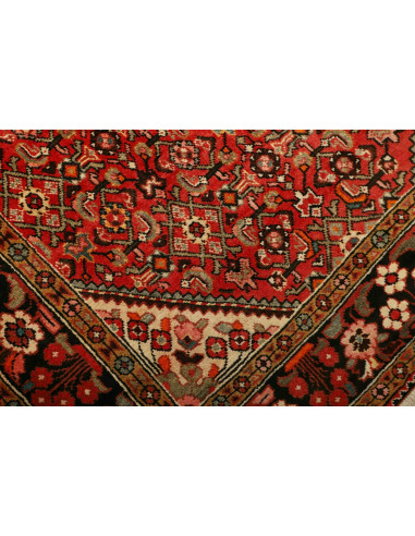 Tappeto Hamadan Persia marrone blu 150x228