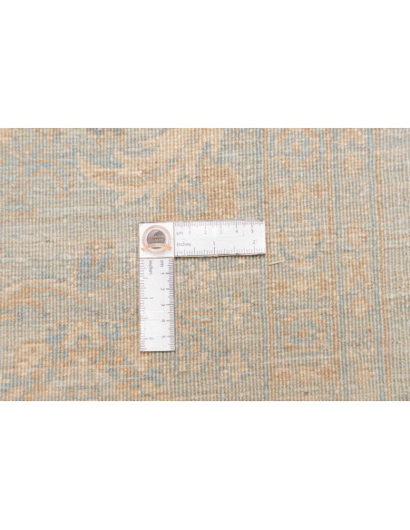 Rug Ziegler Extra Fine Pakistan 238x295 Faded Li