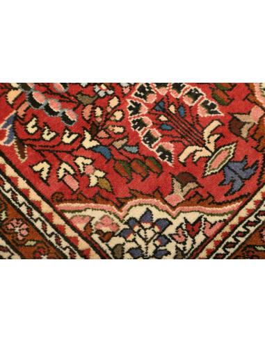 Rug Hamadan Persia brown yellow 74x133