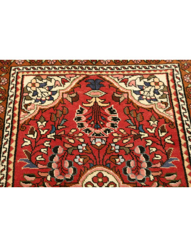 Rug Hamadan Persia brown yellow 74x133
