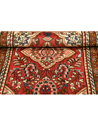 Rug Hamadan Persia brown yellow 74x133