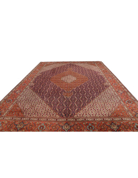 Tabriz 305x390 Cm Tabriz Persia Lana Cotone 160.000-200.000