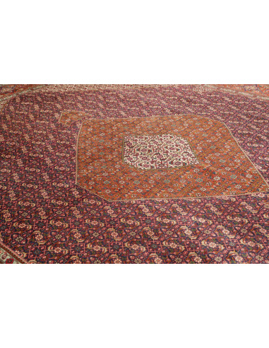 Tabriz 305x390 Cm Tabriz Persia Lana Cotone 160.000-200.000