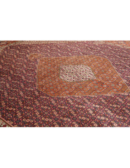 Tabriz 305x390 Cm Tabriz Persia Lana Cotone 160.000-200.000