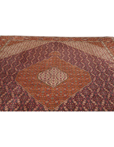 Tabriz 305x390 Cm Tabriz Persia Lana Cotone 160.000-200.000