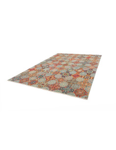 Tappeto Shahi Fine Pakistan 244x300 Multicolore 2