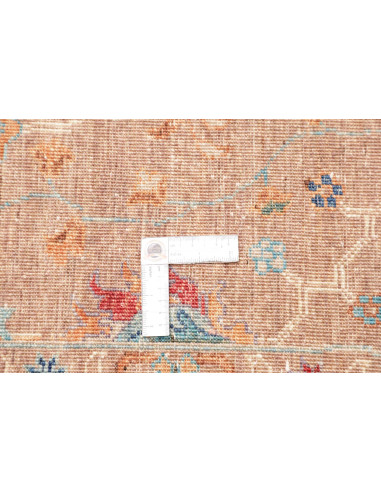 Tappeto Zigler Fine Pakistan 166x238 Terracotta