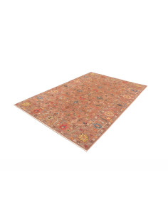 Tappeto Zigler Fine Pakistan 168x239 Terracotta 2