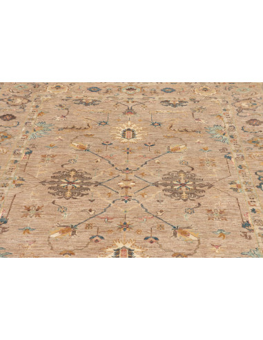 Rug Zigler Fine Pakistan maroon 172x233