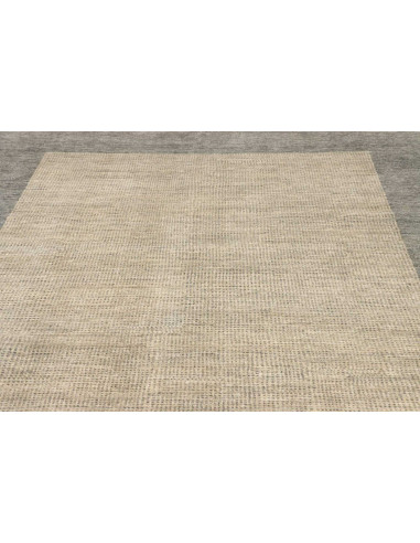 Rug Shayan Pakistan sky blue beige 173x239