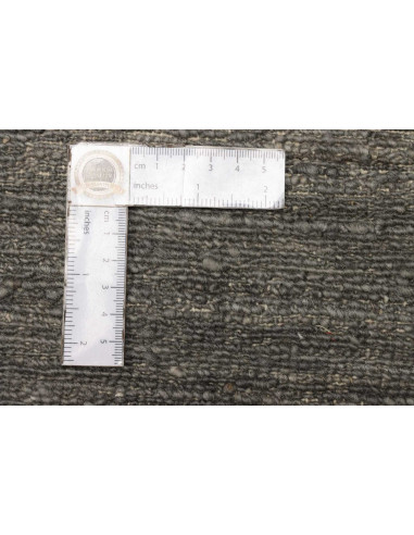 Rug Shayan Pakistan sky blue beige 173x239