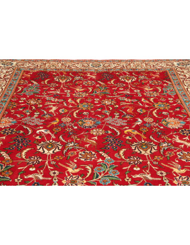 Tappeto Tabriz Persia 227x343 Rosso Crema