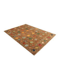 Rug Shahi Fine Pakistan 170x237 Terracotta Brow 2