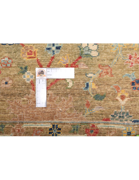Rug Shahi Fine Pakistan 170x237 Terracotta Brow