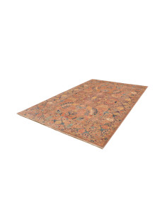 Rug Shahi Fine Pakistan 208x295 Terracotta Blue 2