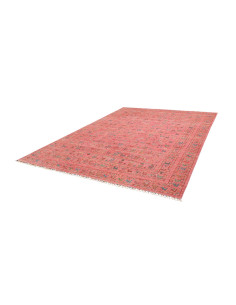 Tappeto Rubin Pakistan 243x318 Rosa Corallo Ter 2