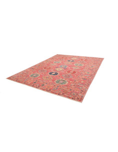 Rug Kazak Fine Pakistan 253x316 Rose Terracotta 2