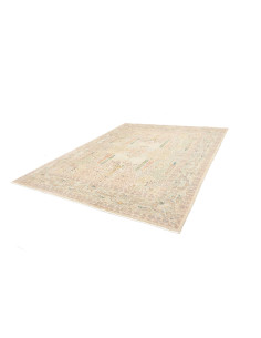 Rug Shahi Fine Pakistan 242x302 Ivory Beige Pas 2