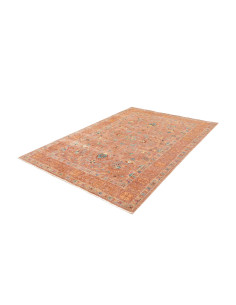 Tappeto Zigler Fine Pakistan 164x231 Terracotta 2