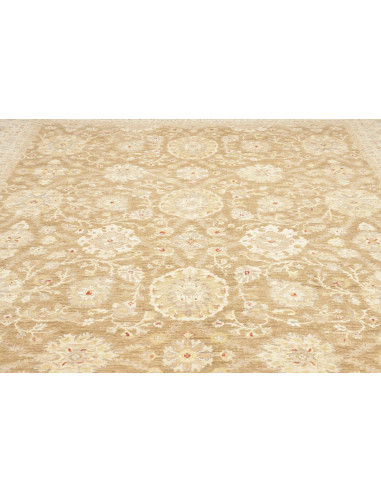 Tappeto Bamyan Pakistan 305x426 Marrone Chiaro