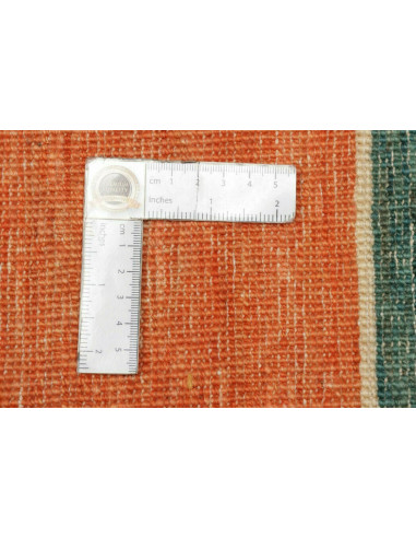 Rug Barjesta Pakistan 171x236 Orange Yellow Blu