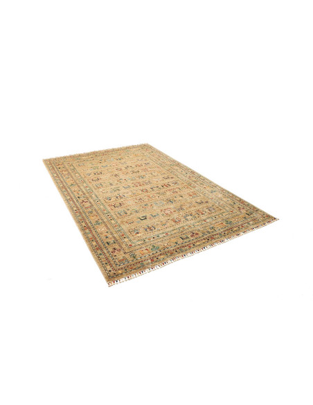 Tappeto Rubin Pakistan 165x238 Beige Multicolor