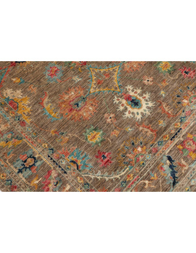 Tappeto Zigler Fine Pakistan 171x244 Marrone Te