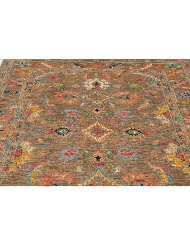 Tappeto Zigler Fine Pakistan 171x244 Marrone Te