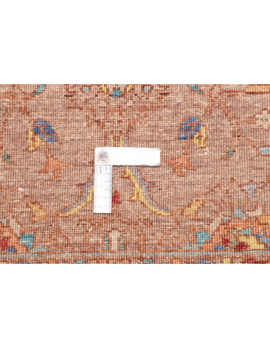 Rug Ziegler Fine Pakistan 80x124 Terracotta Ora