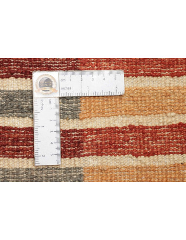 Rug Barjesta Pakistan 170x244 Red Orange Beige