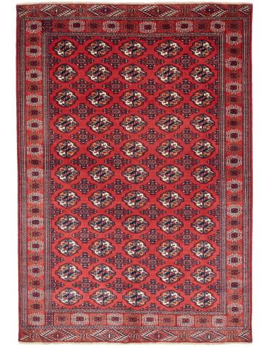 Tappeto Torkaman Persia marrone blu 150x217