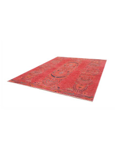 Rug Shahi Fine Pakistan 250x309 Coral Terracott 2