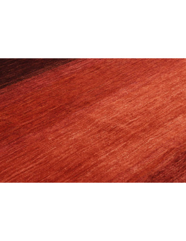 Rug Shayan Pakistan maroon red 147x204