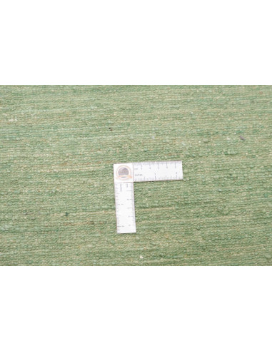 Rug Shayan Pakistan 169x238 Moss Green Forest G