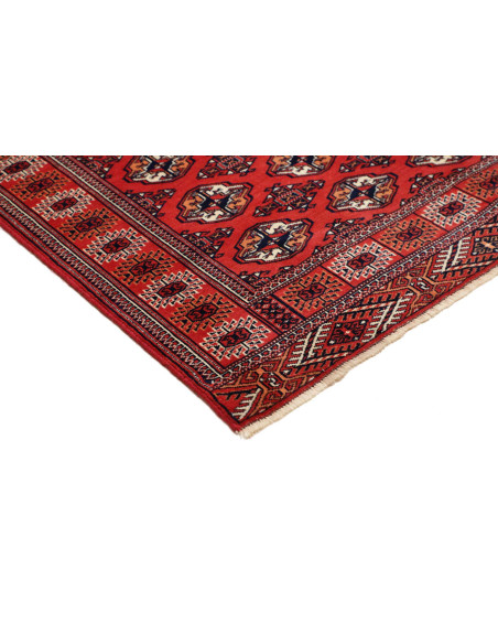 Tappeto Torkaman Persia marrone blu 150x217