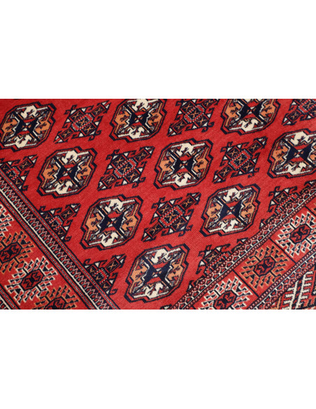 Tappeto Torkaman Persia marrone blu 150x217