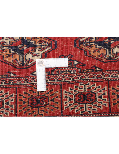 Tappeto Torkaman Persia marrone blu 150x217