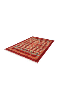 Rug Siva Pakistan 170x251 Terracotta Red Orange 2