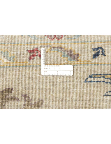 Tappeto Originale Zigler Fine Pakistan 396x491