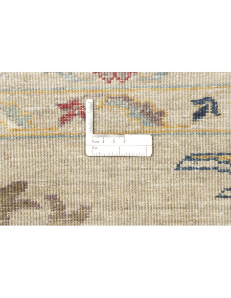 Tappeto Originale Zigler Fine Pakistan 396x491