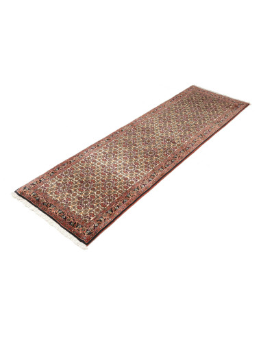 Rug Bidjar Persia green brown 65x211