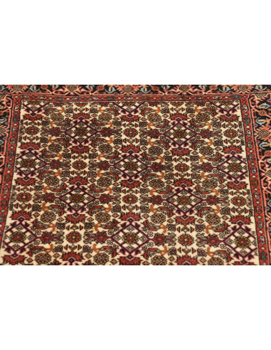 Rug Bidjar Persia green brown 65x211