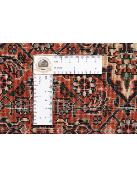 Rug Bidjar Persia red maroon 80x215
