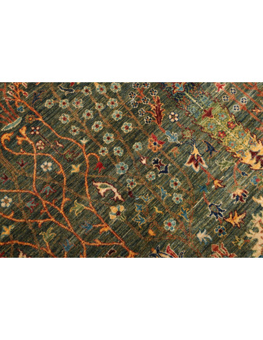 Tappeto Originale Shahi Fine Pakistan 171x238 V