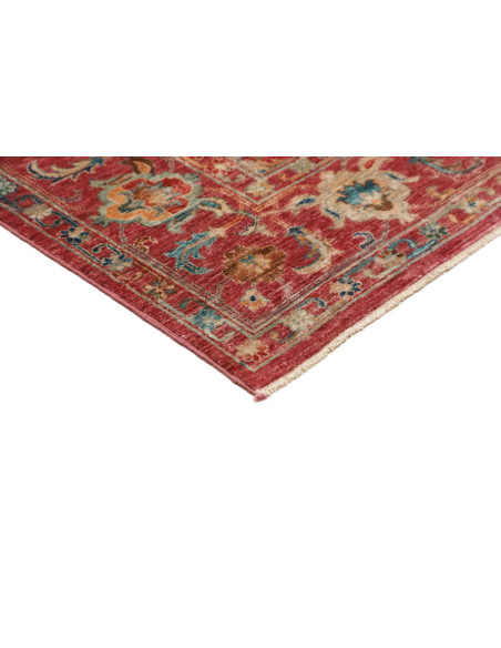 Tappeto Originale Zigler Fine Pakistan 172x239