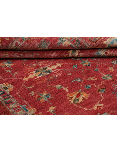 Tappeto Originale Zigler Fine Pakistan 172x239